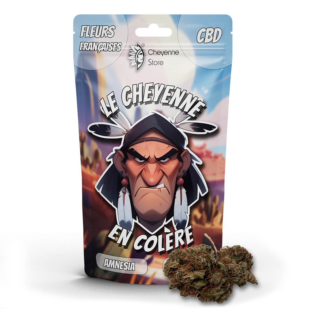 Image du produit Le Cheyenne en Colère